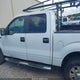1FTEW1E80AKA75716 2010 Ford F-150 Xlt auction photo thumbnail 13