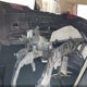 3C4PDCAB0KT869045 2019 Dodge Journey Se Value Package auction photo thumbnail 12