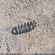 3VV3B7AX5LM111660 2020 Volkswagen Tiguan 2.0T Se/2.0T Se R-Line Black/2.0T Sel auction photo thumbnail 12