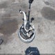 3TMLB5JN5SM124179 2025 Toyota Tacoma Trd Sport 4Wd auction photo thumbnail 12