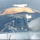 WDBGA51G0VA342262 1997 Mercedes-Benz S 500 auction photo thumbnail 7