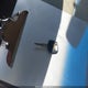 JNRAR05YXXW043552 1999 Infiniti Qx4 Luxury auction photo thumbnail 11