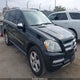 4JGBF7BE8AA604072 2010 Mercedes-Benz Gl 450 4Matic auction photo thumbnail 1