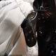 2C3CDXJG0KH533393 2019 Dodge Charger Sxt Awd auction photo thumbnail 11