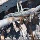 5TFKU4HN9CX002863 2012 Toyota Tacoma Prerunner V6 auction photo thumbnail 7