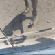 1FMCU0D7XBKA96537 2011 Ford Escape Xlt auction photo thumbnail 6