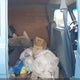 1GCEG25H6K7101176 1989 Chevrolet G20 auction photo thumbnail 8