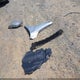 4T1BB3EK5BU142382 2011 Toyota Camry Hybrid auction photo thumbnail 12
