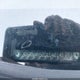 5J6RM4H52DL040243 2013 Honda Cr-V Ex auction photo thumbnail 9