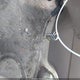 JTJGF10U110087542 2001 Lexus Rx 300 auction photo thumbnail 11