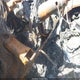 3GCUDDED1NG538072 2022 Chevrolet Silverado 1500 auction photo thumbnail 11