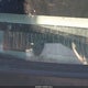 3GYFK66N24G327974 2004 Cadillac Escalade Esv Standard auction photo thumbnail 11