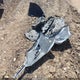 4T1G11AK1PU167466 2023 Toyota Camry Se Nightshade Edition auction photo thumbnail 12