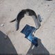 2GKFLTEK0C6397724 2012 GMC Terrain Sle-2 auction photo thumbnail 12