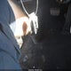 5NMJB3AE2PH215920 2023 Hyundai Tucson Sel auction photo thumbnail 11