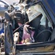 5N1AT2MV3GC785082 2016 Nissan Rogue Sl auction photo thumbnail 8
