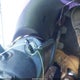 1NXBR32E68Z955118 2008 Toyota Corolla S auction photo thumbnail 11