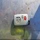4T1BB46K69U076357 2009 Toyota Camry Hybrid auction photo thumbnail 11