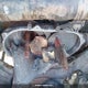 LCELDTZ95J6001325 2018 Cfmot 4 Wheeler auction photo thumbnail 9