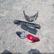 3KPFL4A72HE023903 2017 Kia Forte Lx auction photo thumbnail 12