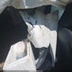 JTJBARBZ0G2050561 2016 Lexus Nx 200T auction photo thumbnail 8