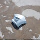3GNAXXEV8MS128537 2021 Chevrolet Equinox Awd Premier auction photo thumbnail 12