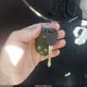 3GCPKSE32BG328784 2011 Chevrolet Silverado 1500 Lt auction photo thumbnail 11