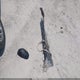 1FM5K7F84HGD22113 2017 Ford Explorer Limited auction photo thumbnail 11