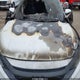 19XFC1F31KE215034 2019 Honda Civic Ex auction photo thumbnail 10
