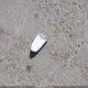 4T1B11HK8KU198805 2019 Toyota Camry Le auction photo thumbnail 12