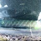5FNRL38726B423741 2006 Honda Odyssey Exl auction photo thumbnail 12