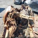 JN8AT2MT5KW251354 2019 Nissan Rogue Sv auction photo thumbnail 7