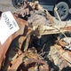 JN8AT2MT5KW251354 2019 Nissan Rogue Sv auction photo thumbnail 9