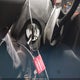1GCDT13E788139755 2008 Chevrolet Colorado Lt auction photo thumbnail 11