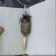1HGCM82644A006953 2004 Honda Accord Ex auction photo thumbnail 11