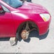 1HGCM82644A006953 2004 Honda Accord Ex auction photo thumbnail 6