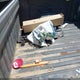 1GCPABEK5RZ172647 2024 Chevrolet Silverado 1500 2Wd Short Bed Custom auction photo thumbnail 12