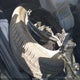 3CZRZ2H50SM715928 2025 Honda Hr-V Awd Sport auction photo thumbnail 11
