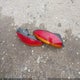 2C3HD46R24H682275 2004 Chrysler Concorde Lx auction photo thumbnail 12
