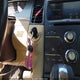 1FAHP2E83DG116109 2013 Ford Taurus Sel auction photo thumbnail 11