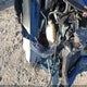 2HKRM4H52FH699663 2015 Honda Cr-V Ex auction photo thumbnail 18