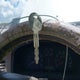 KNAGD126325144218 2002 Kia Optima Lx/Se auction photo thumbnail 11
