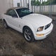 1ZVFT84N665255606 2006 Ford Mustang V6 auction photo thumbnail 1