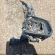 1FA6P8CFXF5413131 2015 Ford Mustang Gt Premium auction photo thumbnail 12