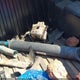 3TMCZ5AN0NM489420 2022 Toyota Tacoma Trd Off Road auction photo thumbnail 12