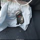 WAUVVAFR3CA002484 2012 Audi S5 4.2 Premium Plus auction photo thumbnail 11