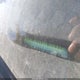 1C4PJLAB0GW272956 2016 Jeep Cherokee Sport auction photo thumbnail 16