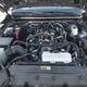 3TMLB5JN2RM015950 2024 Toyota Tacoma Sr5 4Wd auction photo thumbnail 10
