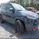1C4PJMBS0HW629008 2017 Jeep Cherokee Trailhawk L Plus 4X4 auction photo thumbnail 6