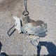 4T4BE46K89R065809 2009 Toyota Camry Le auction photo thumbnail 12